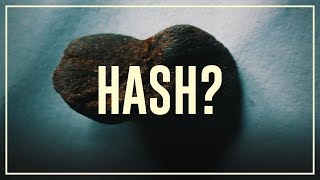 Haxixe Hash  O que fazer e o que não fazer  Drugslab  Legendado [upl. by Valley]