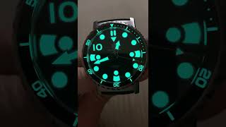 The Amount of BGW9 Luminescence on this Steeldive SD1982 watch is insane [upl. by Ahsenrad]