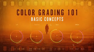 Color Grading 101  Everything You Need to Know [upl. by Keslie303]