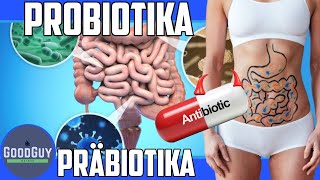 Was braucht dein DarmProbiotikaPräbiotikaAntibiotika einfach erklärt gesunde Darmflora DarmBiom [upl. by Cordeelia360]