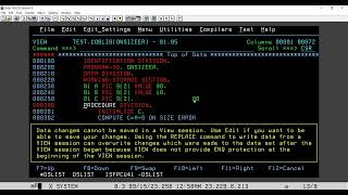 Concept of On Size Error pt1  Why is On Size Error used  All About Mainframe [upl. by Virgil789]