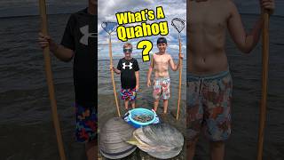 How do you find and catch Quahog Clams Digging for Seafood [upl. by Edla]