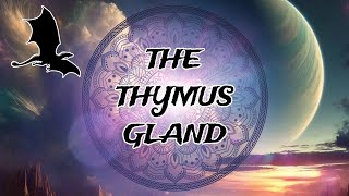 ° CHOSEN∆ONES ° The Thymus Gland Activation ° [upl. by Eerrehs]