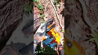 tânsky  shorts super high speed aerial pruning machine [upl. by Kline]