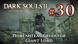 Повелитель Гигантов Dark Souls 2  Дарк Соулс 2  тактика как убить как победить босса ДС2 [upl. by Aredna943]