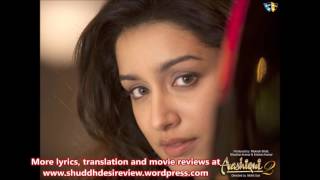 Aasan Nahi Yahaan Aashiqui 2 Timed Lyrics English Translation No Music [upl. by Ahsaekal]