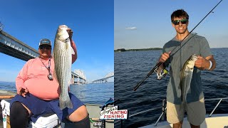 Chesapeake Bay Fishing Report June 29th 2024 [upl. by Noram817]