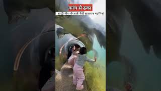 पानी के नीचे बनी वाटर स्लाइड   Dubai underwater water slide  dubai [upl. by Hoon]