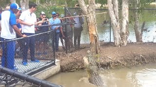 Moeen Ali amp Alastair Cook Meet Bully The Crocodile In Australia [upl. by Letrice]