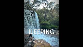 Blue Mountains Waterfalls Weeping Rock in flood Wentworth Falls NSW Blue Mountains Australia [upl. by Nudnarb]