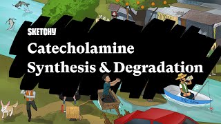 Catecholamine Synthesis amp Degradation Part 1  Sketchy Medical  USMLE Step 1 [upl. by Isman]