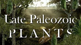 The Evolution of the late Paleozoic Plants [upl. by Dirtsa545]