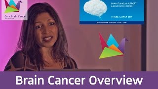 Brain Tumours An overview on current clinical care and research Dr Brindha Shivalingam [upl. by Ahsiekar]