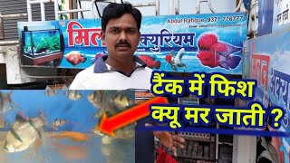 How to Maintain Fish aquarium  आप के Aquarium में मछली मर रही है तो करे ये काम [upl. by Trinl]