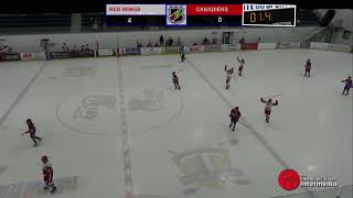 NHL Kids Vendredi 19 Juillet 2024 RED WINGS VS CANADIENS [upl. by Loren413]