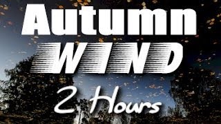 Autumn Wind Sounds  2 Hour Long Relaxing Nature Sounds for Sleep [upl. by Elleunamme]