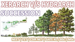 XERARCH VS HYDRARCH SUCCESSION [upl. by Aihsat]