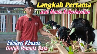 5 Tahapan Yang Harus Di Pahami Peternak Kambing Pemula [upl. by Hamil806]