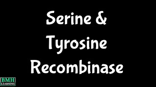 Serine Recombinases  Tyrosine Recombinases  Site Specific Recombination [upl. by Tekla887]