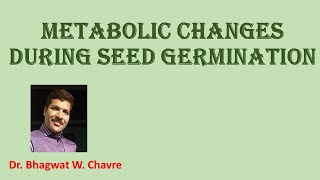 Metabolic changes during Seed Germination [upl. by Garreth]