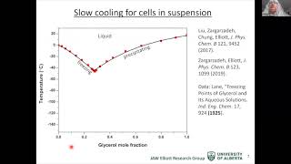 Cryopreservation of cells monolayers and tissues [upl. by Rattan217]