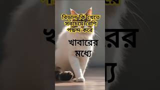 বিড়াল কি খেতে সবচেয়ে বেশি পছন্দ করে shortsvideo [upl. by Schuman]