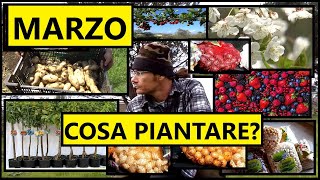 Cosa piantare a MARZO nellOrto nel Frutteto e in Casa  Tutorial Agricoltura [upl. by Lema]