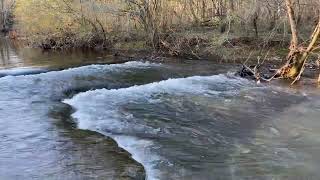 West Fork Stones River Barfield Crescent Park Murfreesboro TN 22624 [upl. by Haida]