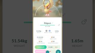 Pidgeotto evolves into pidgeot Pokemon go pokemonpokemongoevolveshinypidgeotshortshortsviral [upl. by Eloise628]