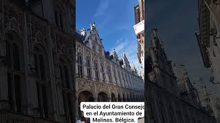 PALACIO DEL GRAN CONSEJO EN EL AYUNTAMIENTO EN MALINAS Bélgica [upl. by Laeahcim]