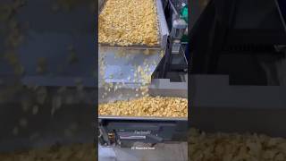 How potato chips made in factory shorts ytshorts viralvideo [upl. by Anelra]