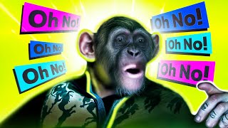 Monkey saying Oh No Meme from Planet of The Apes [upl. by Patman]