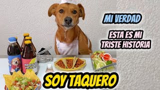 La verdad sobre los taqueros [upl. by Nevaed302]