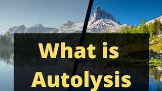 what is autolysis autolysis shorts lysosomes [upl. by Aratahc]