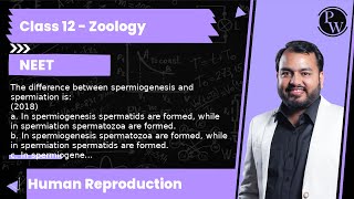 The difference between spermiogenesis and spermiation is 2018 a In spermiogenesis spermatids [upl. by Agee]