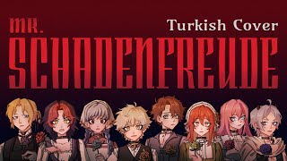 Mr Schadenfreude Turkish Cover [upl. by Llehcnom]