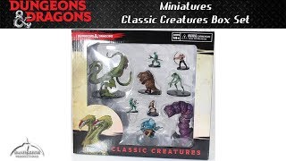 Dungeons amp Dragons Classic Creatures Box Set Unboxing and Review [upl. by Acirat]