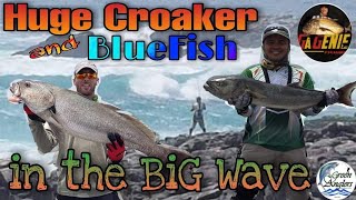 Catch Huge Croaker Abu and Bluefish in Big WavesShimano Saragosa  Van Staal 250 [upl. by Squire]