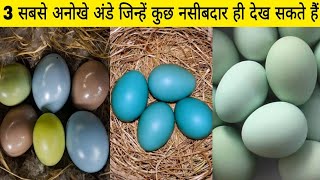 ये हैं दुनिया के 3 सबसे अनोखे अंडे 🥚 जिन्हें कुछ नसीबदार लोग ही देख सकते हैं 😱  Most Beutiful Eggs [upl. by Galven]