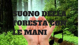 Imparare il suono della foresta con le mani [upl. by Nedroj506]