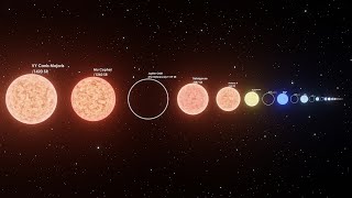 Star Size Comparison 3D Full Video [upl. by Ainot]