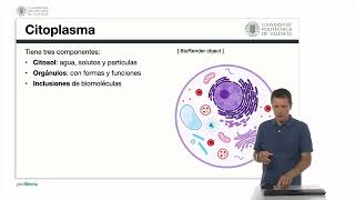 El citoplasma y el núcleo  260  UPV [upl. by Lyred200]