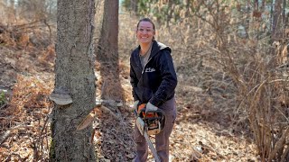 5 Years Living Off The Grid  Falling Her First Tree  It Was Hilarious [upl. by Luamaj]