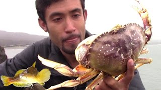 Crab Snare amp Fishing Tips from a Jetty quotBe Like Waterquot  Bruce Lee [upl. by Hesoj]