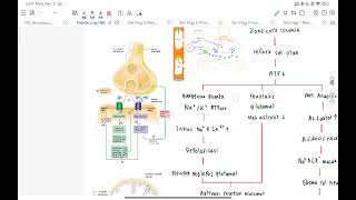 PATOFISIOLOGI NBS CASE 2 quotStroke Iskemikquot  ray [upl. by Crudden]