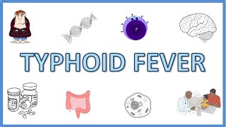 Typhoid Fever  Causes Pathogenesis Signs and Symptoms Diagnosis Treatment and Prevention [upl. by Vesta]