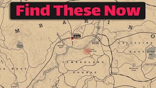 Many players will never find these  RDR2 [upl. by Delfine85]