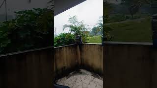 Heavy Rain in cyclen be safe in over house subscribe [upl. by Nicolle615]