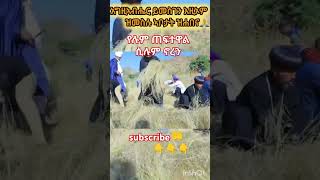 የሉም ጠፈተዋል ሲሉ ኖረን duet abelbirhanuየወይኗልጅ habesha ethioforumኢትዮፎረም amharic yetbitubeየተንቢ [upl. by Zeke77]