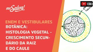 Me Salva BOT21  Botânica  Histologia vegetal crescimento secundário da raíz e do caule [upl. by Bamby709]